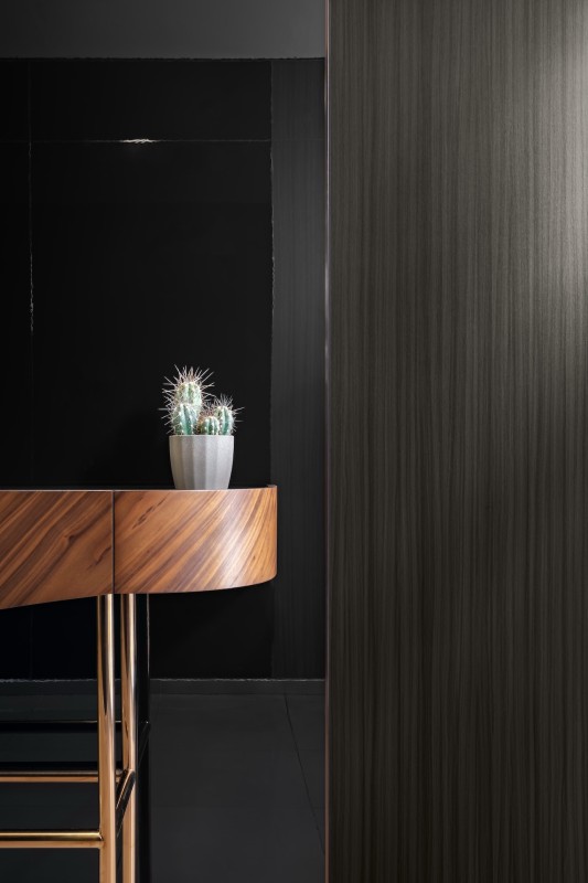 Стенен панел Серия Wood - Луизиана в комбинация със стенен панел Серия Super high gloss - Черен Гланц